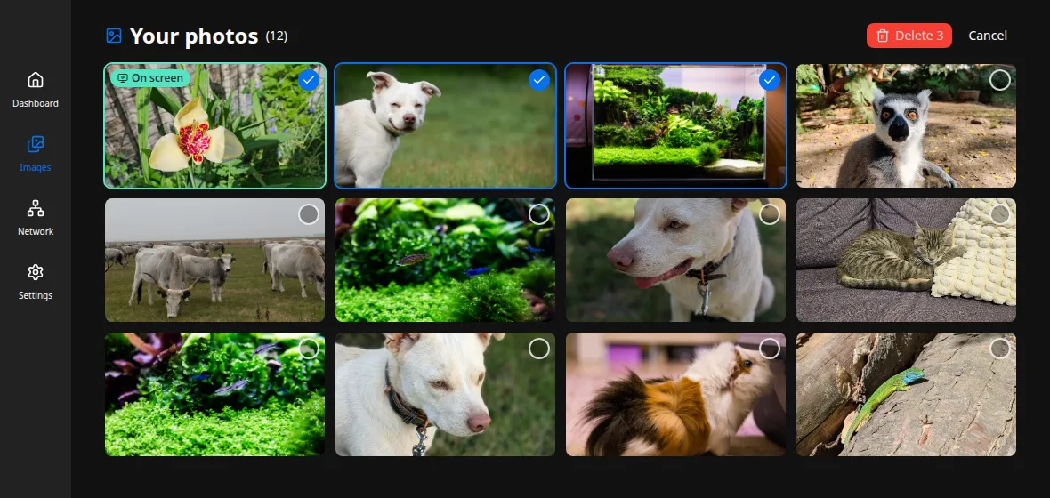 Select mode: several photos ticked, with a Delete button for the whole batch