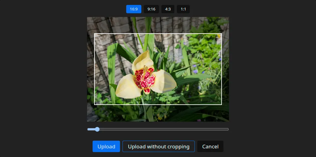 The cropper: aspect-ratio choices, a framed photo, and the upload options below