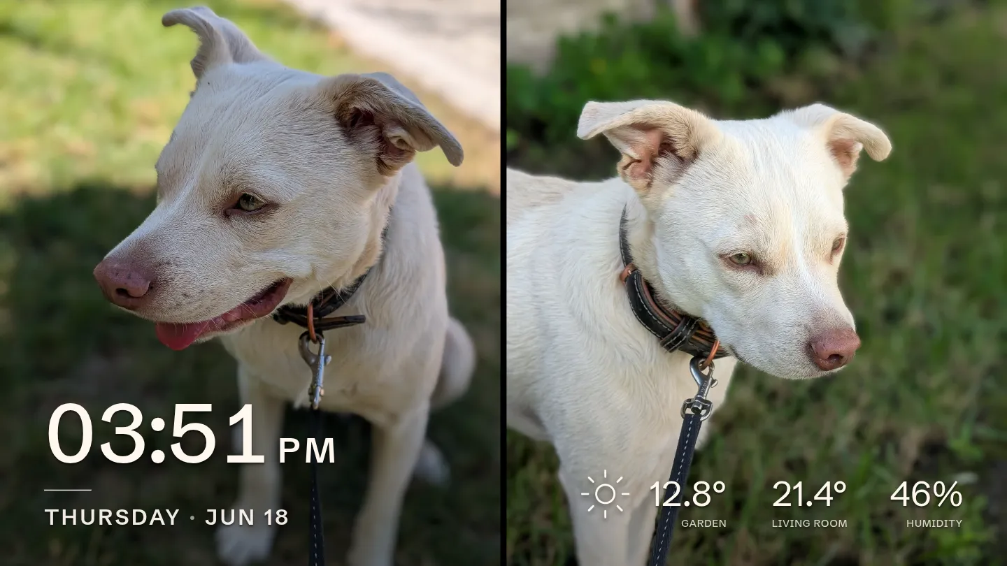 Two portrait photos shown side by side on a landscape frame, instead of one cropped photo